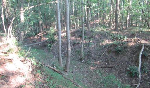 Photo #39 of 2643 Roberts Chapel, Goldston, NC 16.8 acres