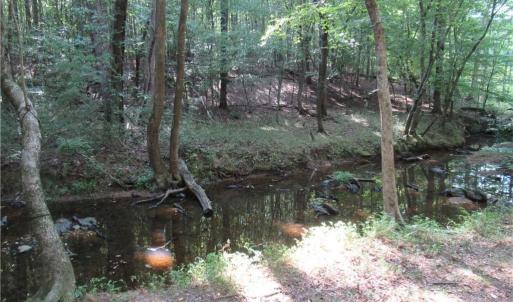 Photo #21 of 2643 Roberts Chapel, Goldston, NC 16.8 acres