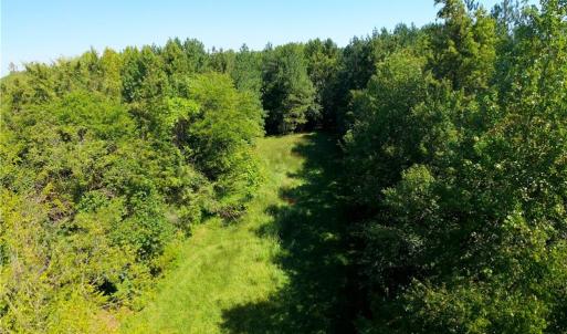 Photo #23 of 3053 NC Highway 62, Liberty, NC 53.0 acres