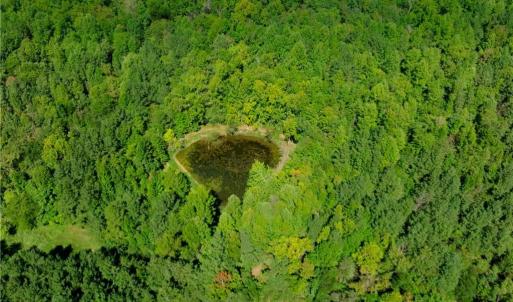 Photo #6 of 3053 NC Highway 62, Liberty, NC 53.0 acres