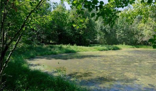 Photo #13 of 3053 NC Highway 62, Liberty, NC 53.0 acres