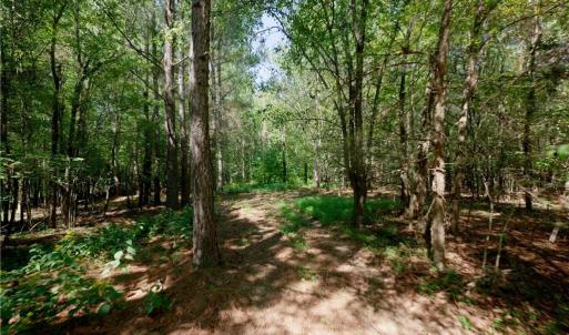 Photo #26 of 3053 NC Highway 62, Liberty, NC 53.0 acres