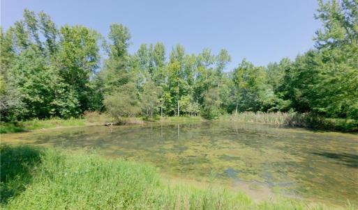Photo #7 of 3053 NC Highway 62, Liberty, NC 53.0 acres
