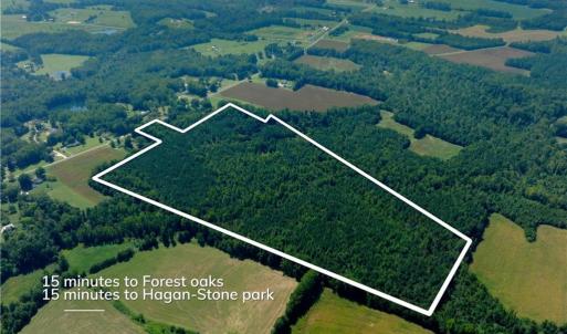 Photo #3 of 3053 NC Highway 62, Liberty, NC 53.0 acres