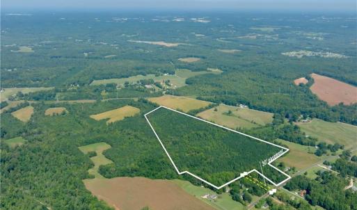 Photo #5 of 3053 NC Highway 62, Liberty, NC 53.0 acres