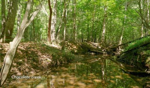 Photo #20 of 3053 NC Highway 62, Liberty, NC 53.0 acres