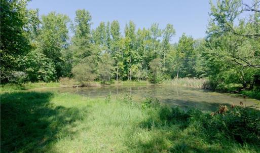 Photo #14 of 3053 NC Highway 62, Liberty, NC 53.0 acres