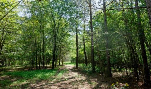 Photo #15 of 3053 NC Highway 62, Liberty, NC 53.0 acres