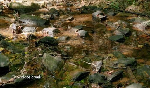 Photo #19 of 3053 NC Highway 62, Liberty, NC 53.0 acres