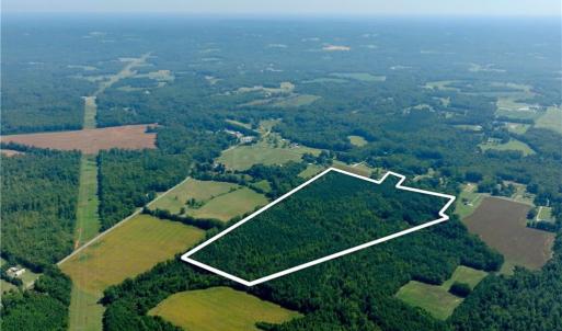 Photo #4 of 3053 NC Highway 62, Liberty, NC 53.0 acres