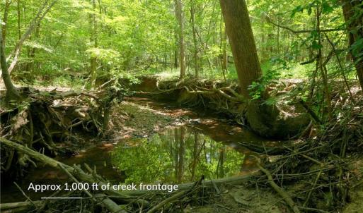 Photo #8 of 3053 NC Highway 62, Liberty, NC 53.0 acres