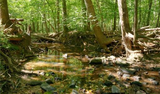 Photo #21 of 3053 NC Highway 62, Liberty, NC 53.0 acres