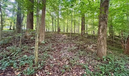 Photo #6 of 8101 Deverow, Lewisville, NC 1.5 acres
