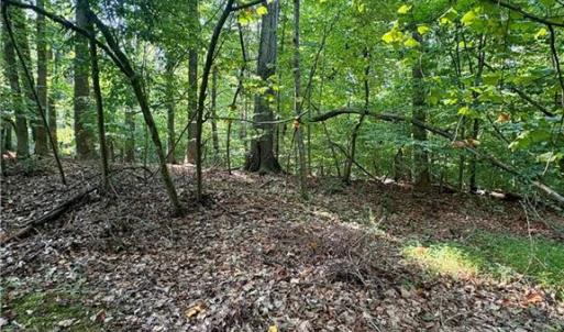 Photo #13 of 8101 Deverow, Lewisville, NC 1.5 acres