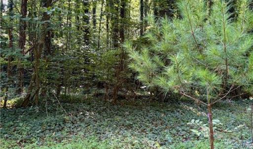 Photo #16 of 8101 Deverow, Lewisville, NC 1.5 acres
