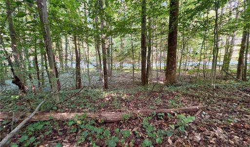 Photo #7 of 8101 Deverow, Lewisville, NC 1.5 acres
