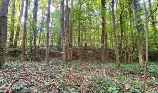 Photo #3 of 8101 Deverow, Lewisville, NC 1.5 acres