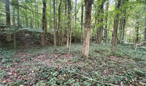 Photo #5 of 8101 Deverow, Lewisville, NC 1.5 acres