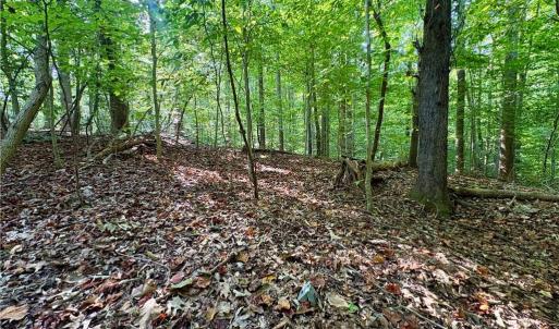 Photo #9 of 8101 Deverow, Lewisville, NC 1.5 acres
