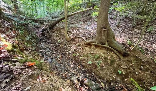 Photo #10 of 8101 Deverow, Lewisville, NC 1.5 acres