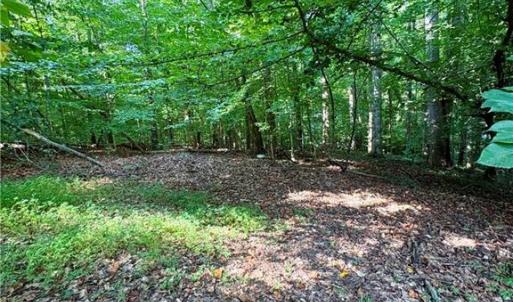 Photo #14 of 8101 Deverow, Lewisville, NC 1.5 acres