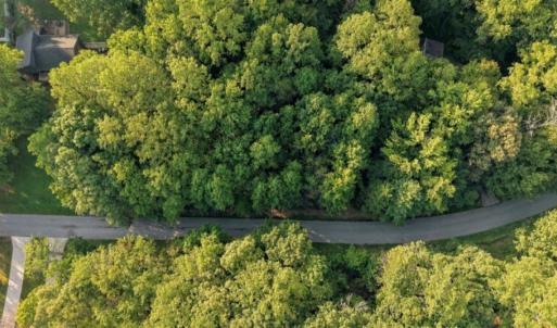 Photo #18 of 8101 Deverow, Lewisville, NC 1.5 acres