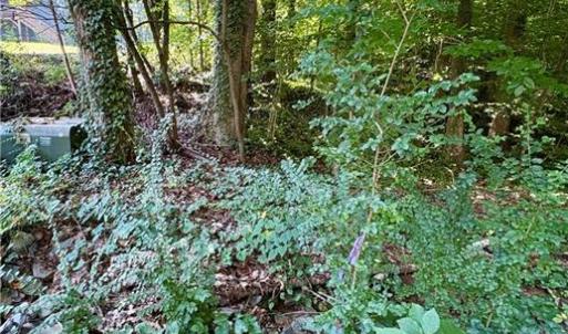 Photo #15 of 8101 Deverow, Lewisville, NC 1.5 acres