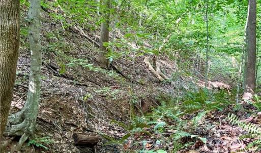 Photo #11 of 8101 Deverow, Lewisville, NC 1.5 acres