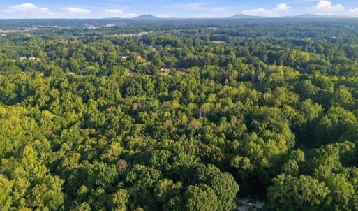 Photo #19 of 8101 Deverow, Lewisville, NC 1.5 acres