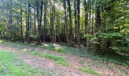 Photo #4 of 8101 Deverow, Lewisville, NC 1.5 acres