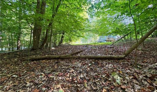 Photo #8 of 8101 Deverow, Lewisville, NC 1.5 acres