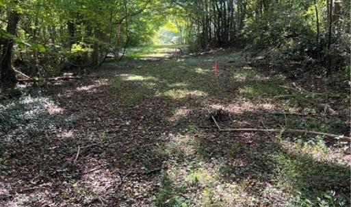 Photo #2 of Oliver, Ramseur, NC 4.7 acres