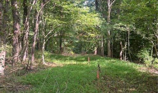 Photo #3 of Oliver, Ramseur, NC 4.7 acres