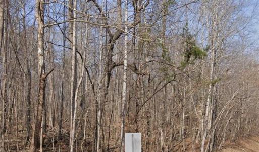 Photo #3 of 633 Hancock, Reidsville, NC 17.9 acres