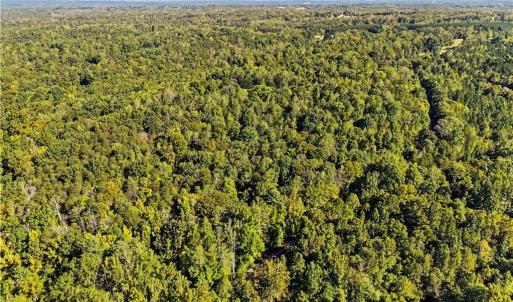 Photo #19 of 633 Hancock, Reidsville, NC 17.9 acres