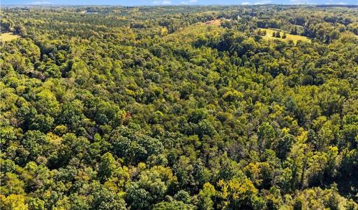 Photo #20 of 633 Hancock, Reidsville, NC 17.9 acres