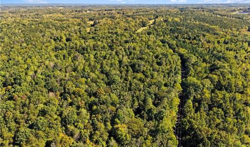 Photo #18 of 633 Hancock, Reidsville, NC 17.9 acres