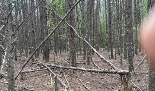 Photo #23 of 550 Van Buren, Stoneville, NC 59.2 acres