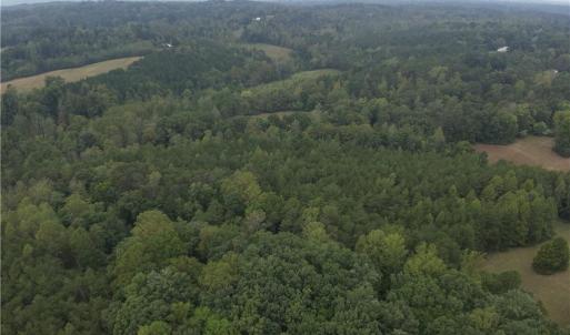 Photo #13 of 550 Van Buren, Stoneville, NC 59.2 acres