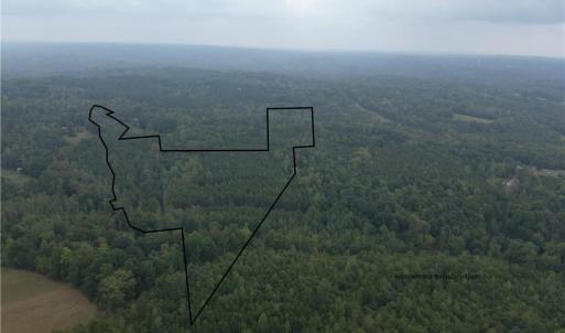 Photo #17 of 550 Van Buren, Stoneville, NC 59.2 acres