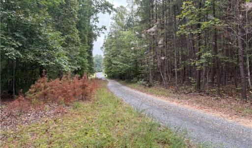 Photo #22 of 550 Van Buren, Stoneville, NC 59.2 acres