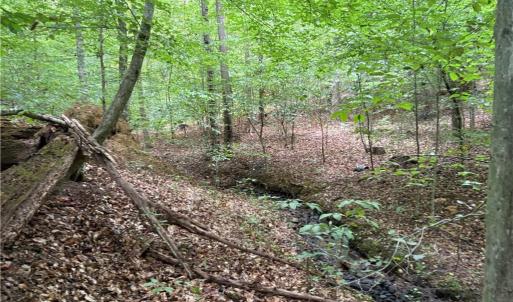 Photo #20 of 550 Van Buren, Stoneville, NC 59.2 acres