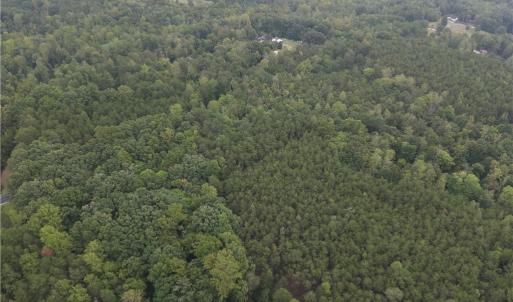 Photo #9 of 550 Van Buren, Stoneville, NC 59.2 acres
