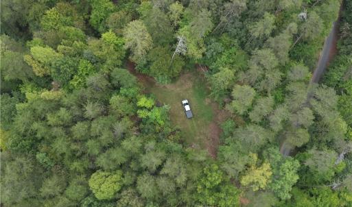 Photo #15 of 550 Van Buren, Stoneville, NC 59.2 acres