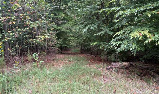 Photo #19 of 550 Van Buren, Stoneville, NC 59.2 acres