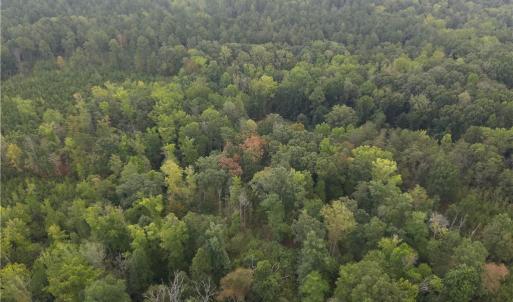 Photo #4 of 550 Van Buren, Stoneville, NC 59.2 acres