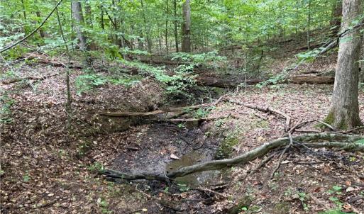 Photo #21 of 550 Van Buren, Stoneville, NC 59.2 acres