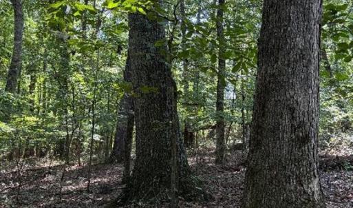 Stack.Hardwood