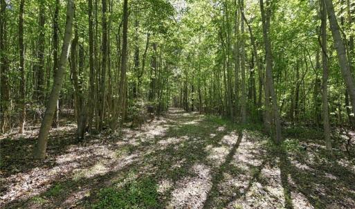 Photo #6 of 4416 McConnell, McLeansville, NC 60.6 acres