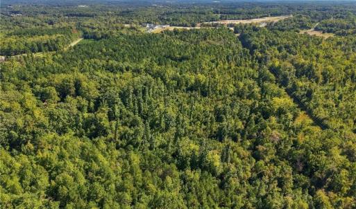 Photo #12 of 4416 McConnell, McLeansville, NC 60.6 acres